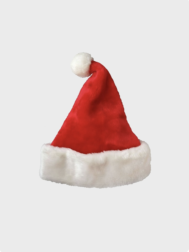 Santa Claus Hat