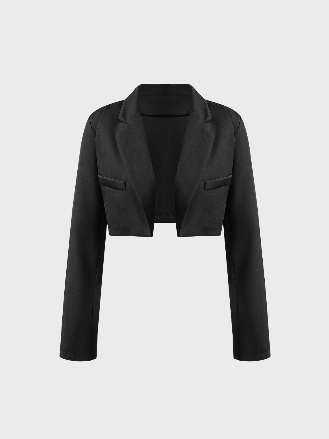 Lapel Collar Plain Long Sleeve Blazer