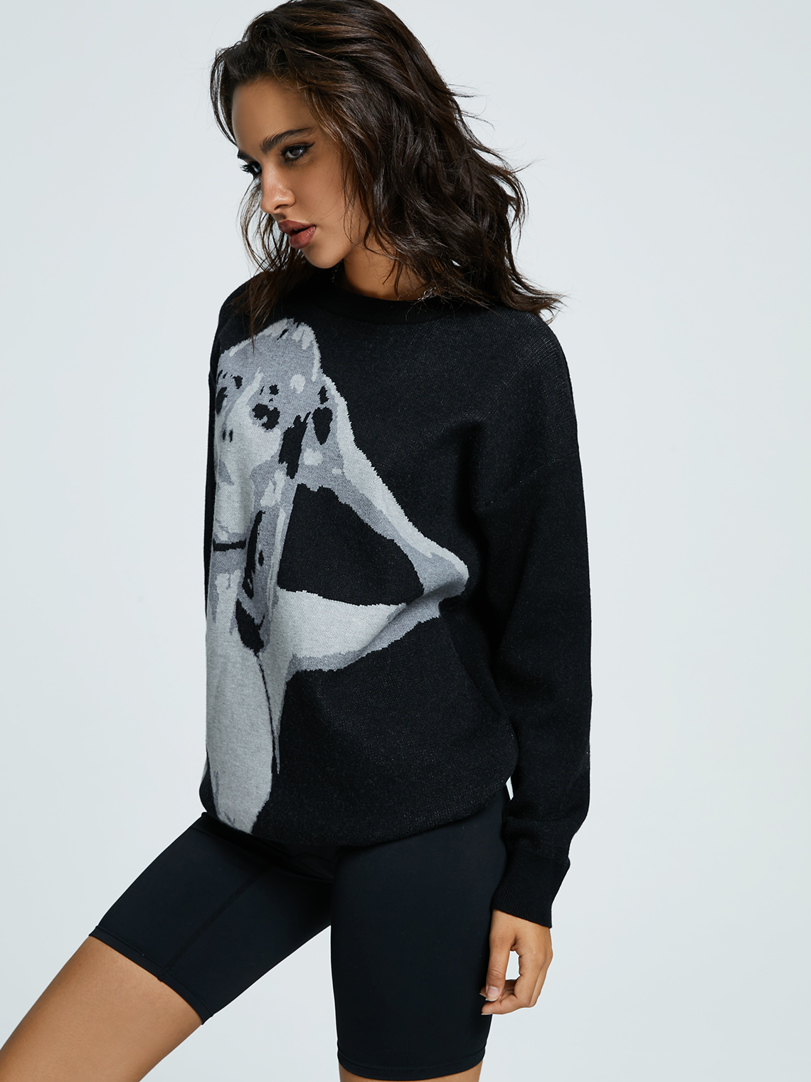 Crew Neck Figure Long Sleeve Sweater