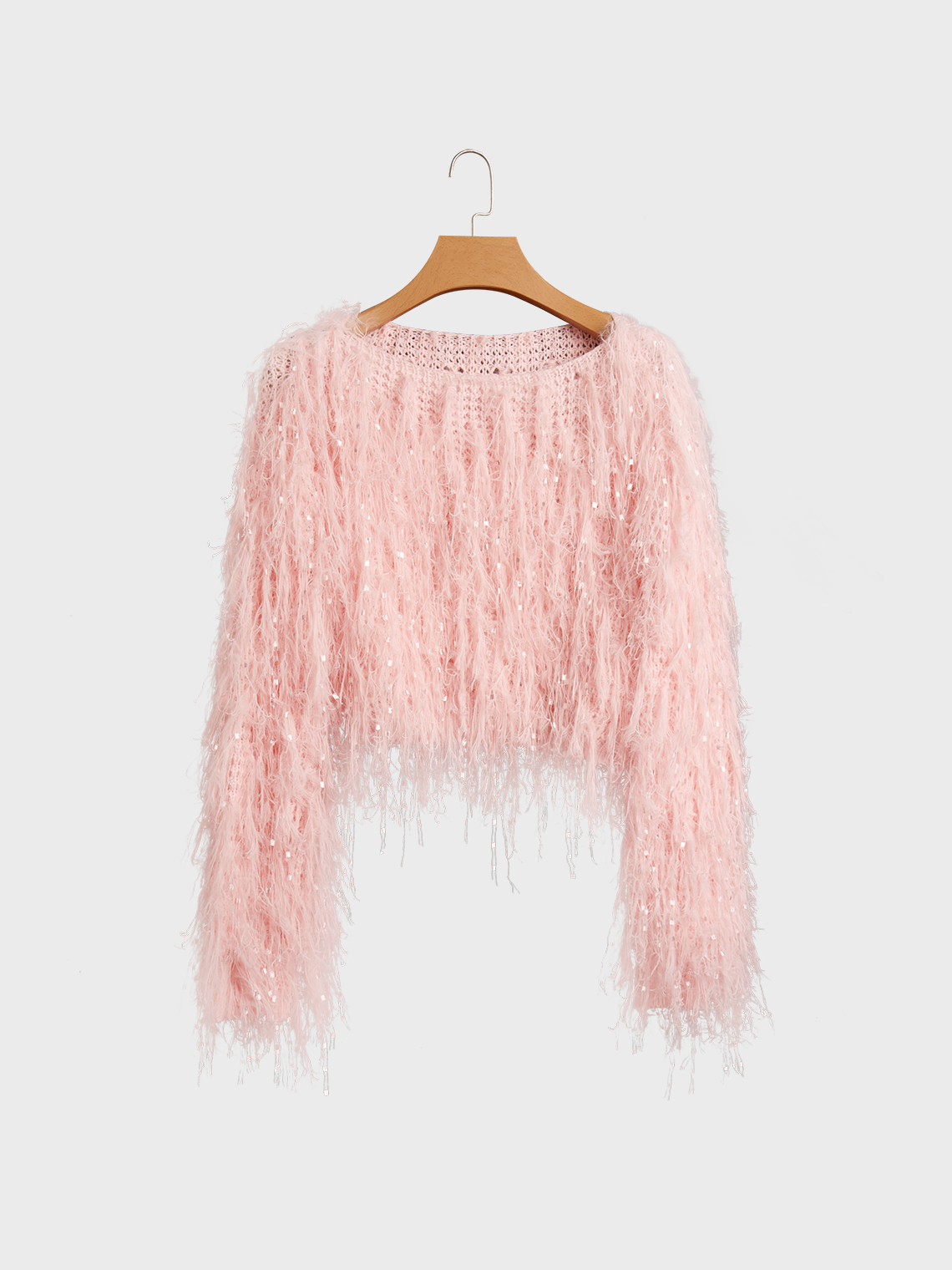 Fringed Blingbling Crew Neck Plain Long Sleeve Sweater