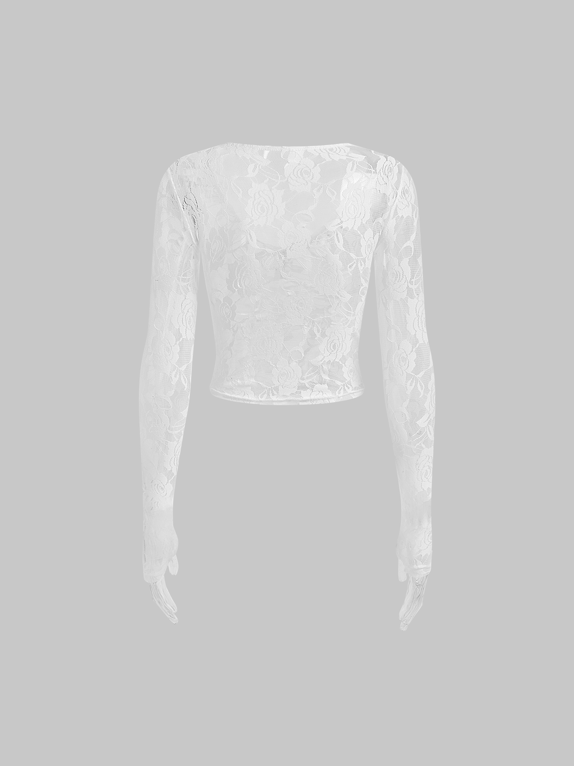 Lace Crew Neck Plain Long Sleeve Blouse