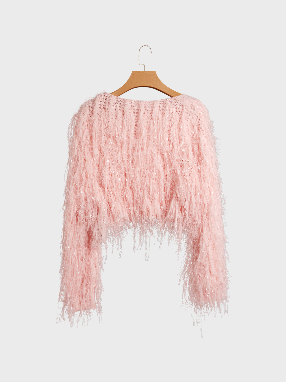 Fringed Blingbling Crew Neck Plain Long Sleeve Sweater