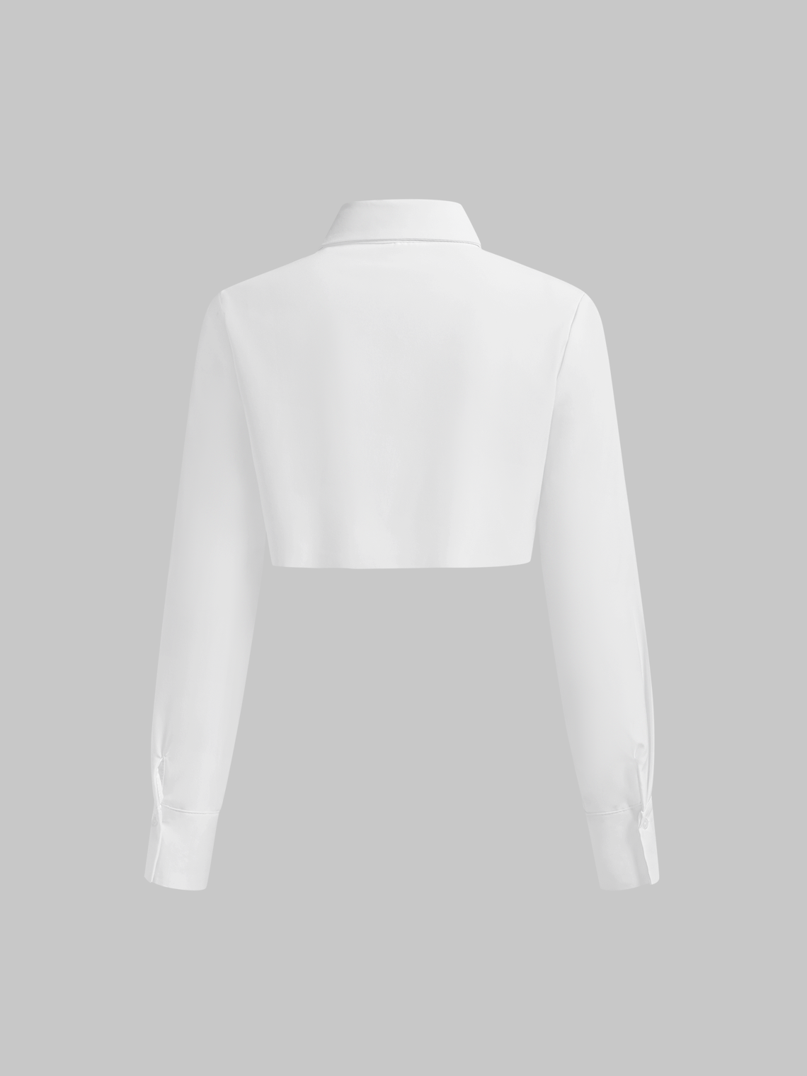 Basic Shirt Collar Plain Long Sleeve Blouse