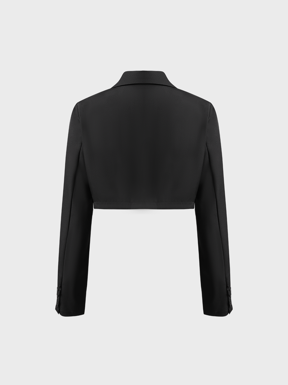 Lapel Collar Plain Long Sleeve Blazer